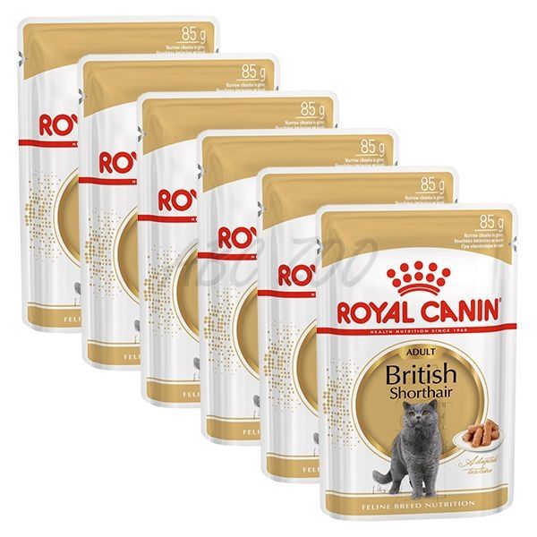 Royal Canin British Shorthair Frischbeutel 6 X 85g Abc Zoo