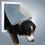 Freilauftür für Hunde 2-Wege, M - XL, 38 x 45 cm