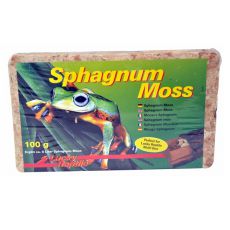 Sphagnum Moos für Terrarien - 100 g