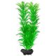 Cabomba caroliniana ( Green Cabomba) - Pflanze Tetra 23 cm, M