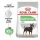 ROYAL CANIN MINI Digestive Care 2kg