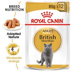 Royal Canin British Shorthair - Frischbeutel, 12 x 85g