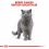 Royal Canin - Futter für British Kurzhaar Katze 2 kg