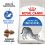 Royal Canin - Indoor 27 Futter für Katzen im Interieur lebend 2kg