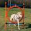 Agility Hürde für Hunde, Ring 115x65cm