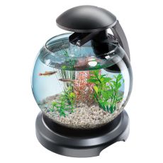 Aquariumkugel für Kampffisch oder Karausche - 6,8 L
