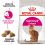 Royal Canin Savour EXIGENT - Futter für heikle Katzen, 10 kg