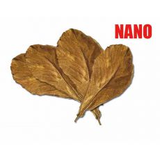 Seemandelbaum - trockene Blätter NANO, 12 Stk.