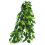 Ficus silk medium - hängende Terrarienpflanze, 55cm