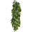 Ficus silk large - hängende Terrarienpflanze, 70cm