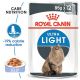 Royal Canin Ultra Light in Jelly 12 x 85 g - Gelee im Beutel